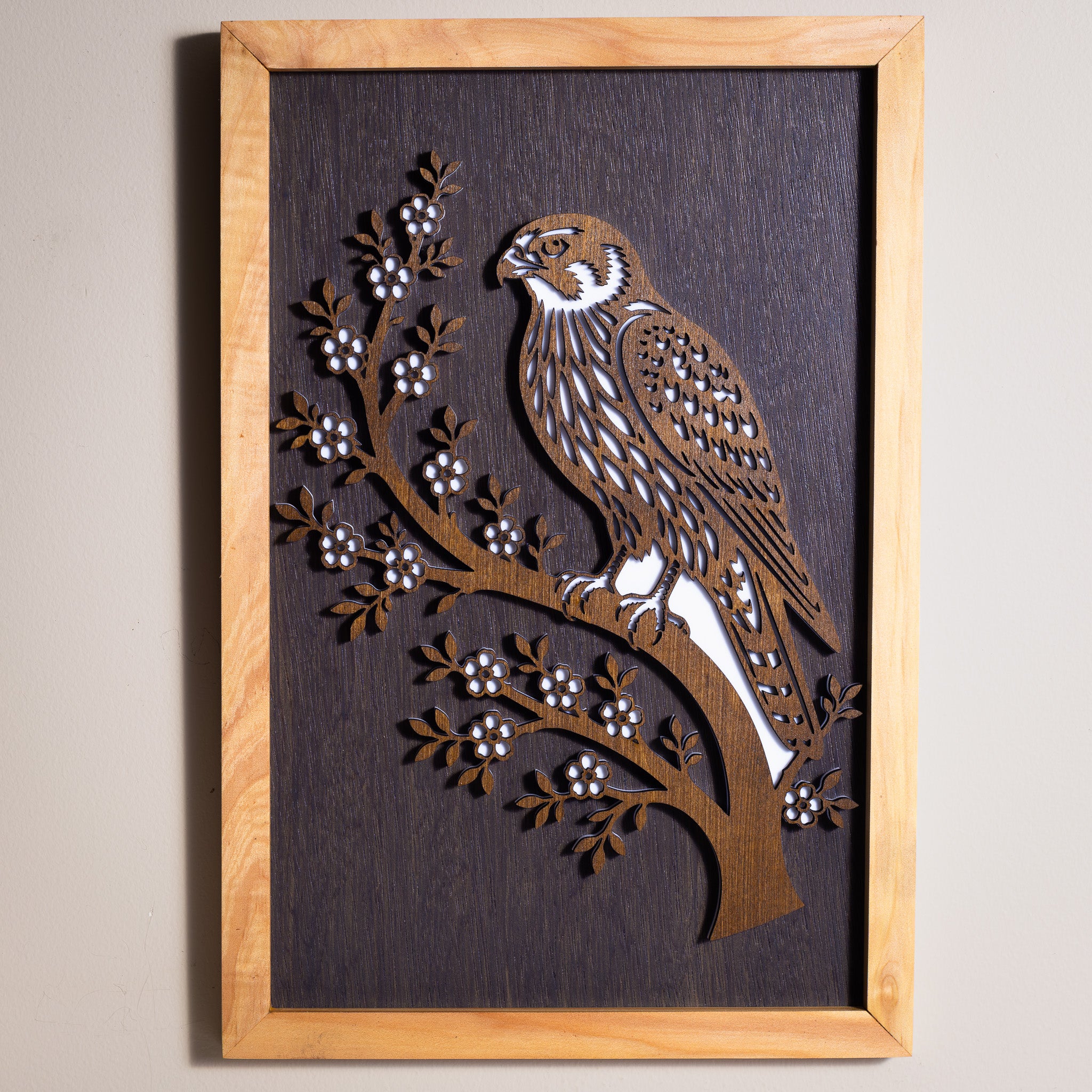 New Zealand Falcon / Kārearea - 3-Layer Framed Wall Art