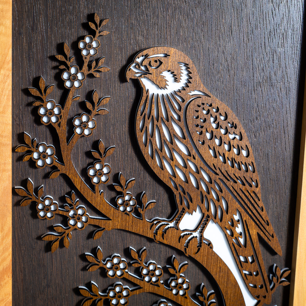 New Zealand Falcon / Kārearea - 3-Layer Framed Wall Art