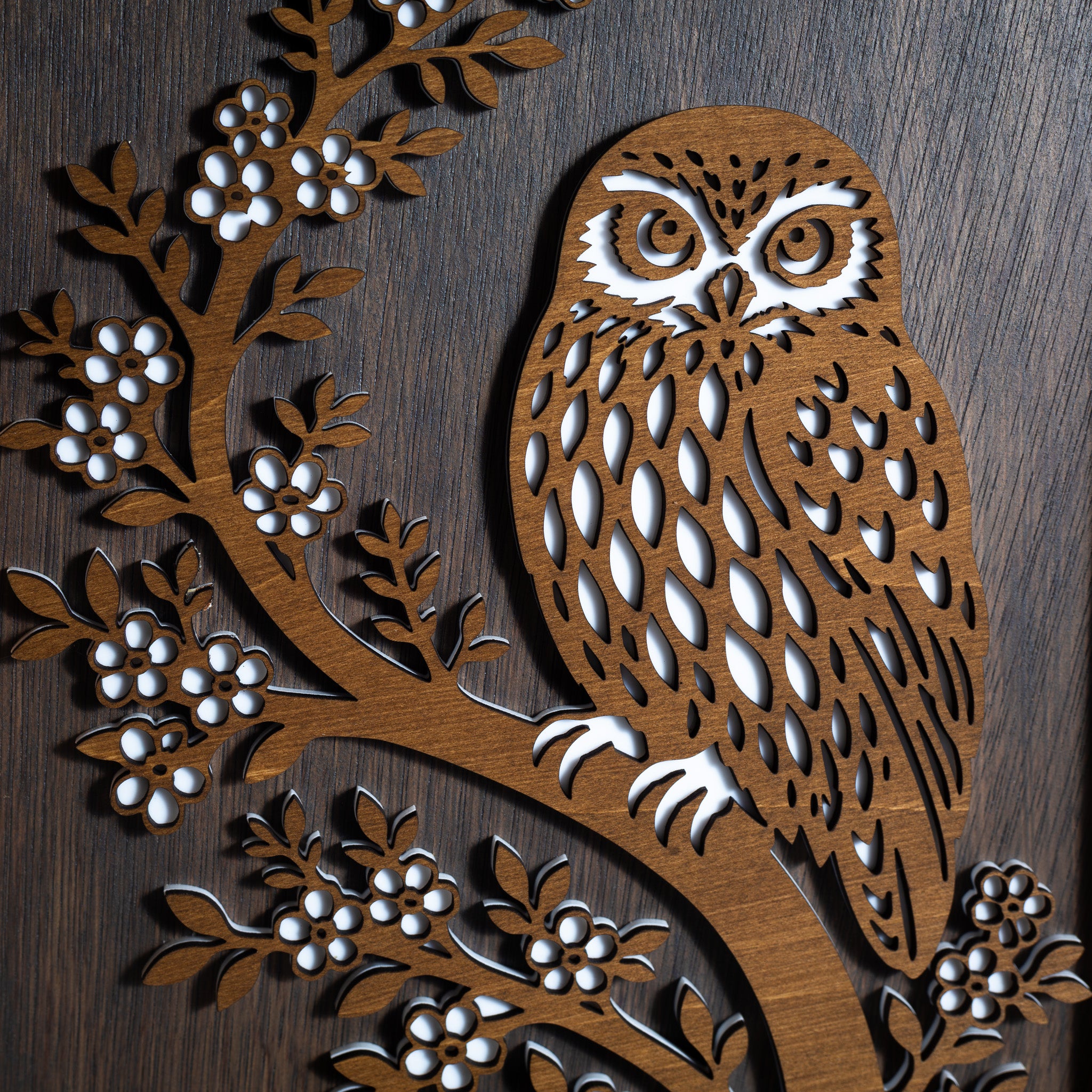 Morepork / Ruru - 3-Layer Framed Wall Art