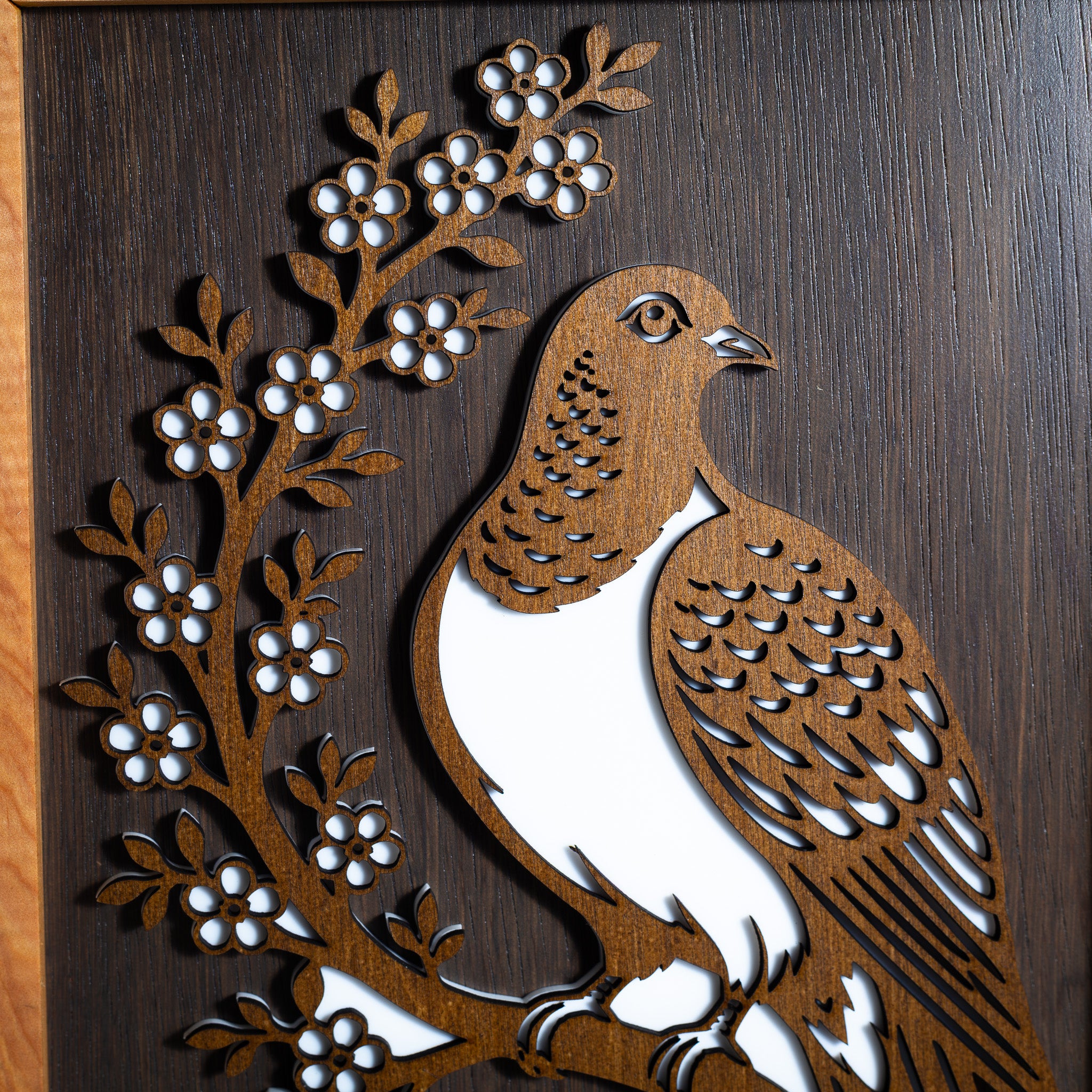 New Zealand Wood Pigeon / Kererū - 3-Layer Framed Wall Art