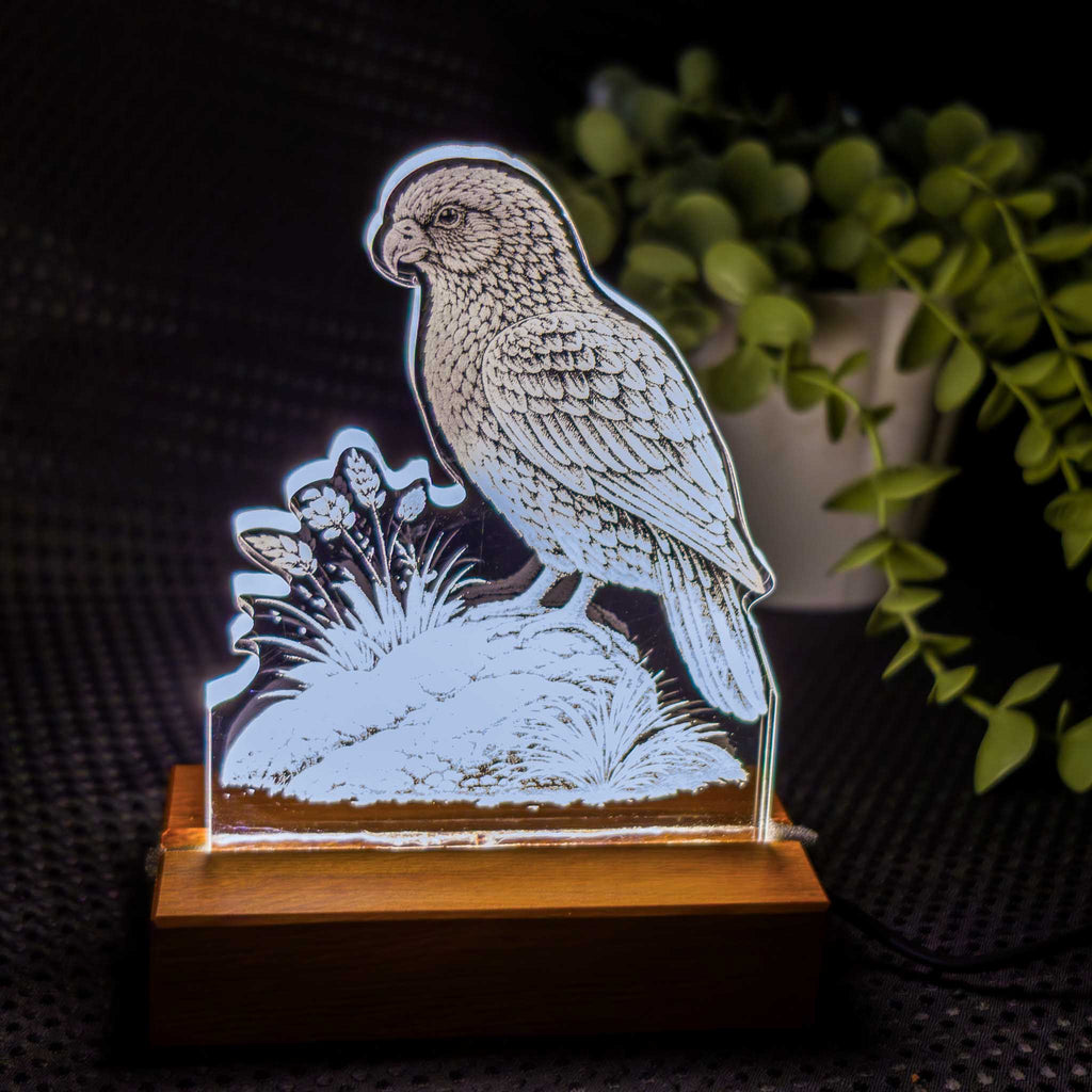 Kea – Acrylic LED Light (USB, Matai base) | Handmade NZ Timber | furnACE