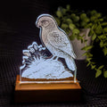Kea – Acrylic LED Light (USB, Matai base) | Handmade NZ Timber | furnACE