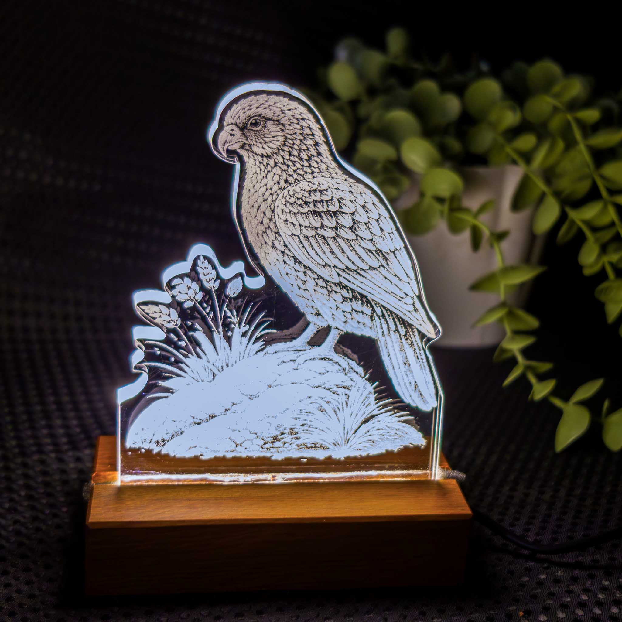 Kea – Acrylic LED Light (USB, Matai base) | Handmade NZ Timber | furnACE