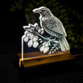 Tui – Acrylic LED Light (USB, Matai base) | Handmade NZ Timber | furnACE