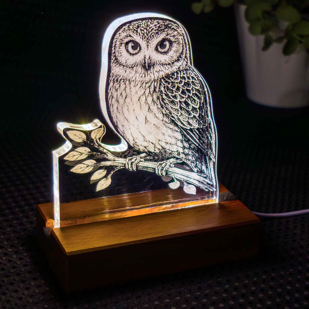 Morepork – Acrylic LED Light (USB, Matai base) | Handmade NZ Timber | furnACE