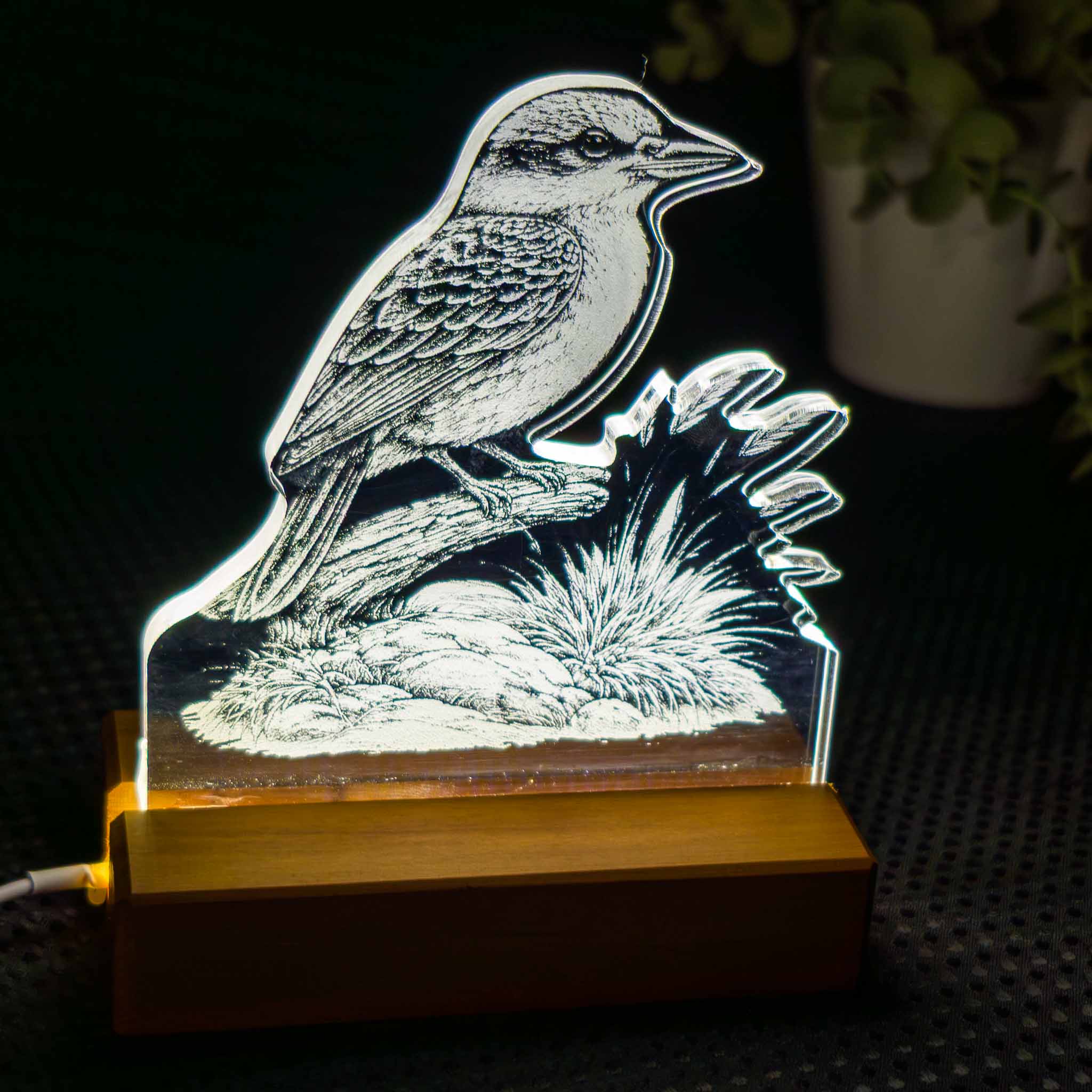 Kingfisher (Kōtare) – Acrylic LED Light (USB, Matai base) | Handmade NZ Timber | furnACE