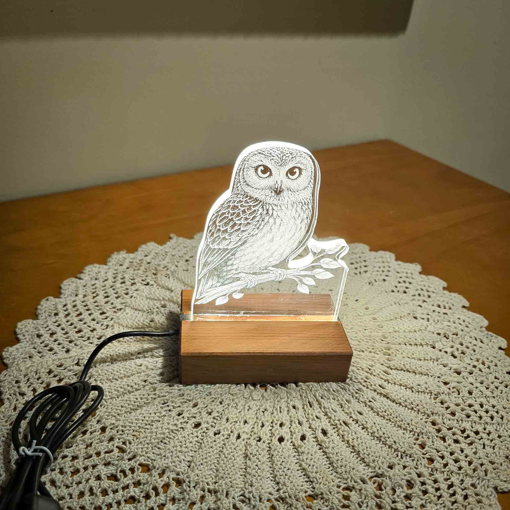 Morepork – Acrylic LED Light (USB, Matai base) | Handmade NZ Timber | furnACE