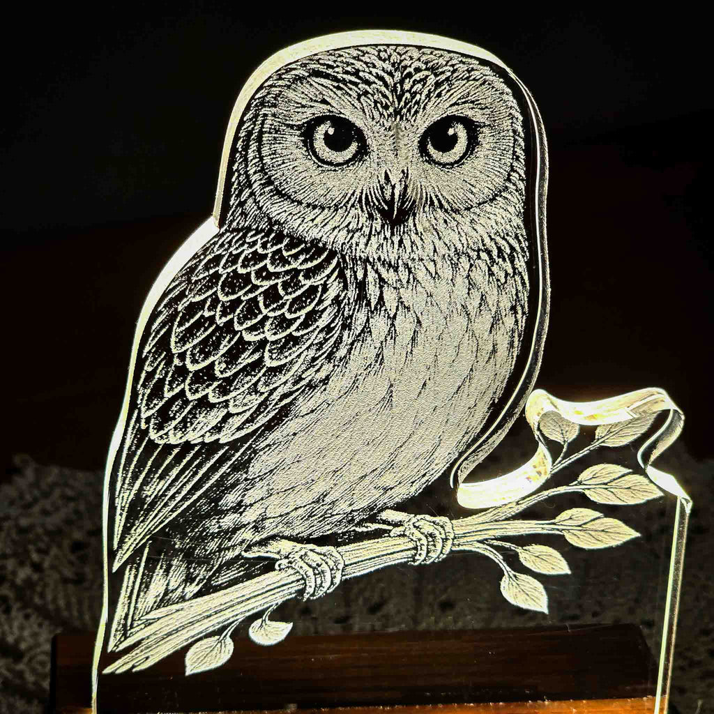 Morepork – Acrylic LED Light (USB, Matai base) | Handmade NZ Timber | furnACE