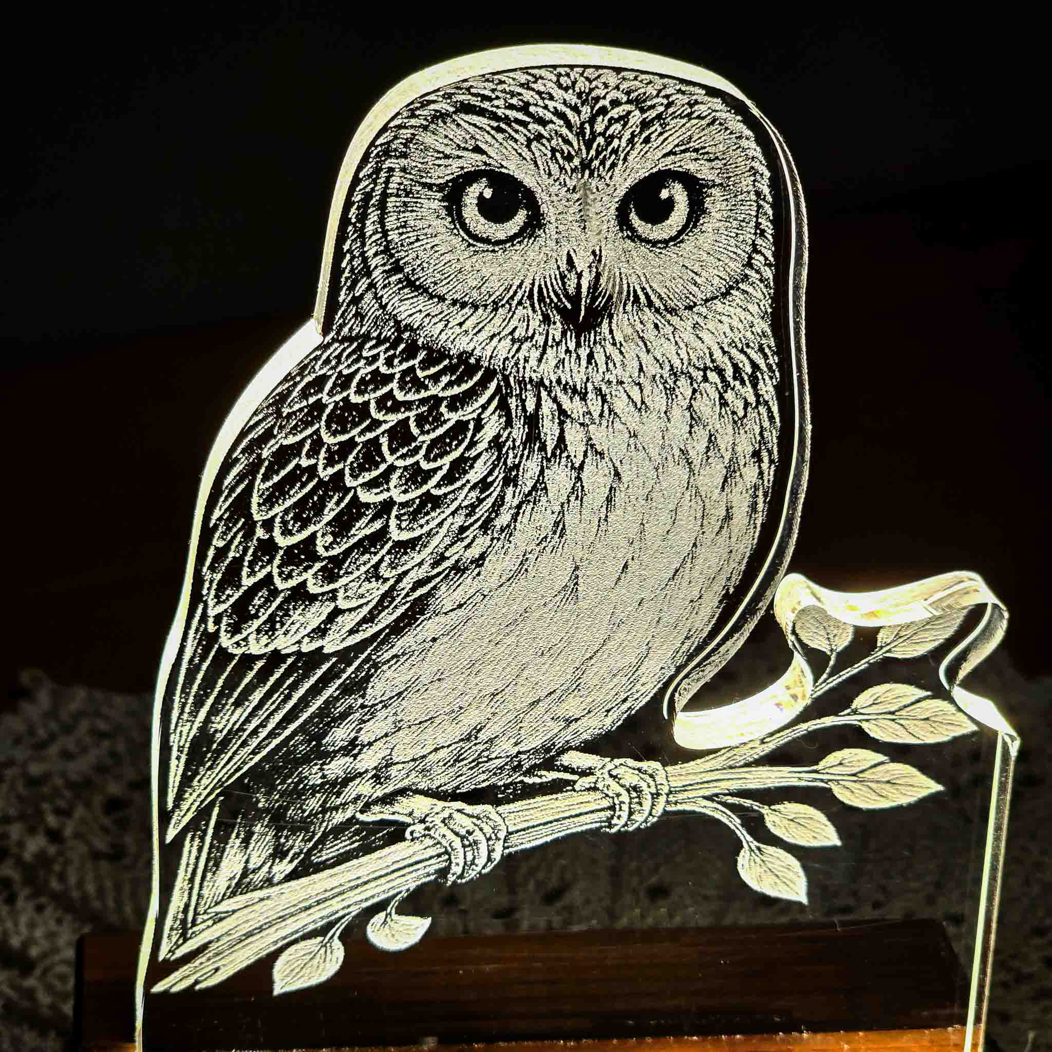 Morepork – Acrylic LED Light (USB, Matai base) | Handmade NZ Timber | furnACE