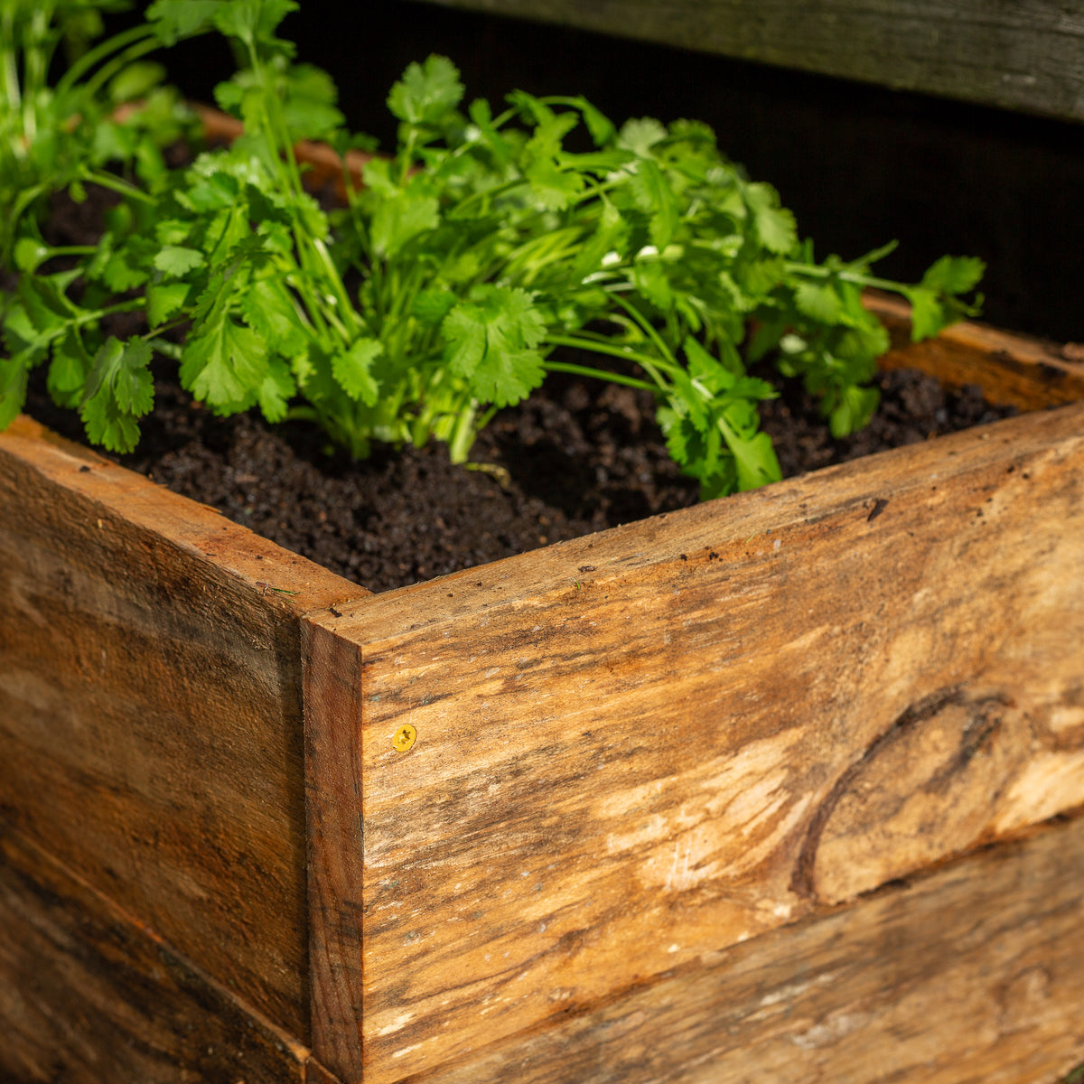 furnACE Rustic Raised Garden Bed – Untreated Pine | 700mm