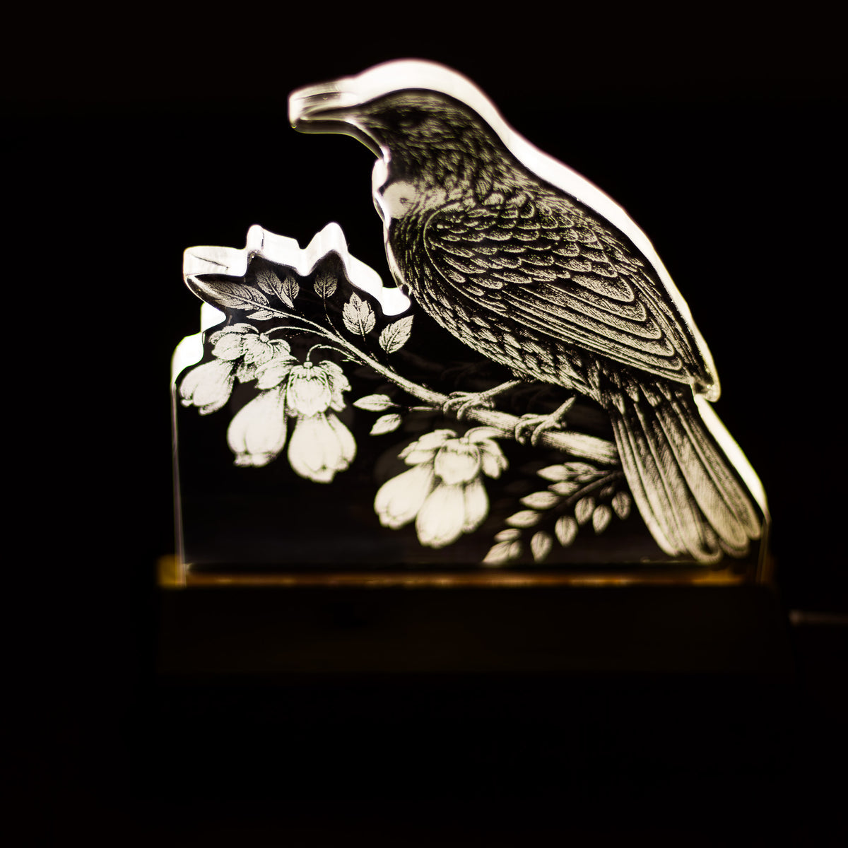 Tūī Acrylic LED Light