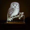 Morepork Acrylic LED Light