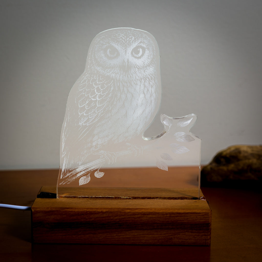 Morepork Acrylic LED Light