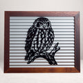 Ruru Morepork Outdoor Wall Art – Corrugated Metal & Black Acrylic – Kwila Frame