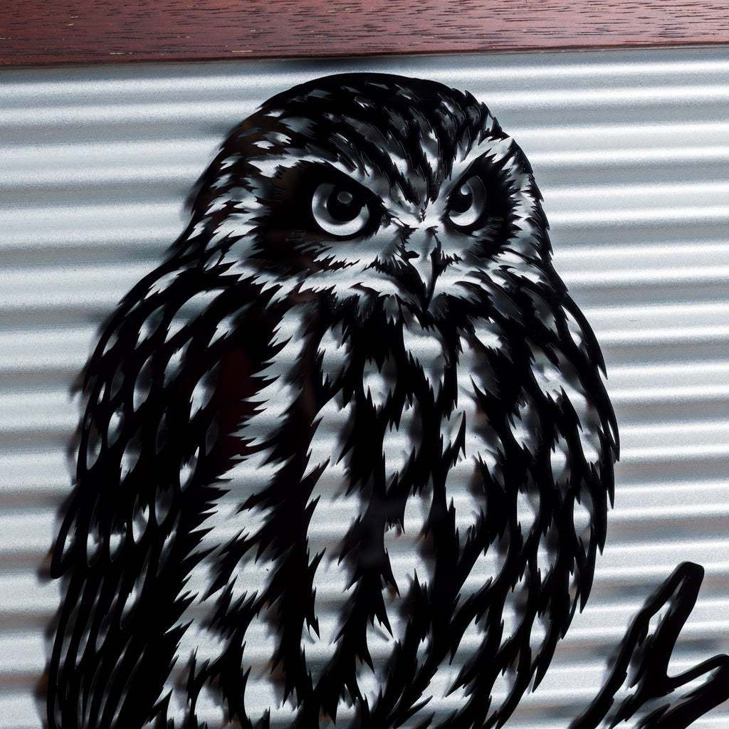 Ruru Morepork Outdoor Wall Art – Corrugated Metal & Black Acrylic – Kwila Frame