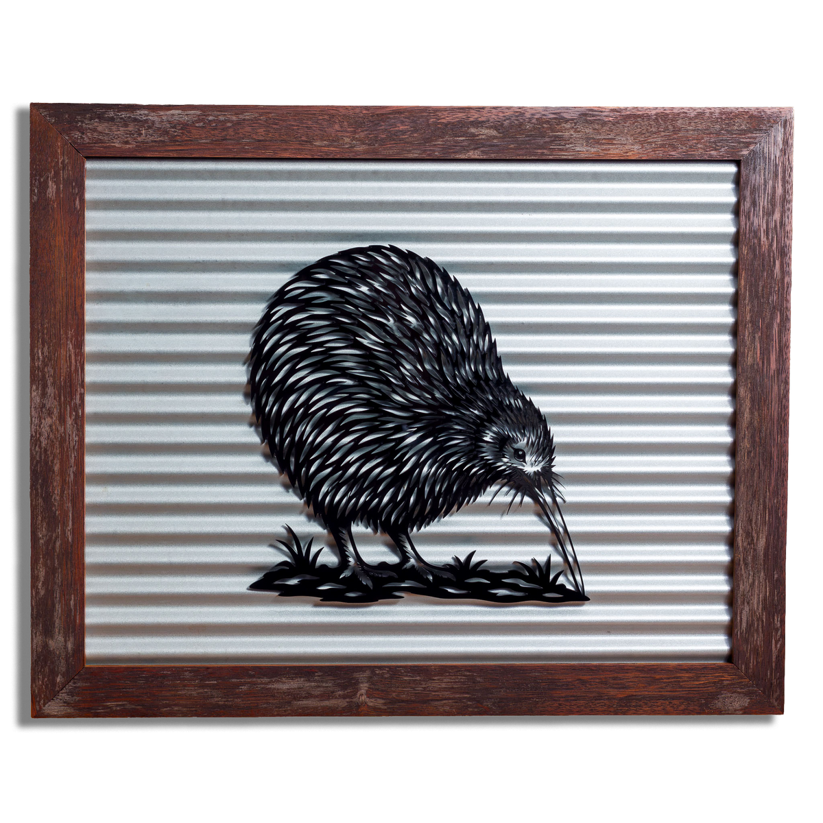 Kiwi Outdoor Wall Art