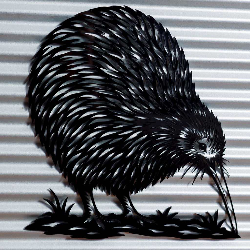 Kiwi Outdoor Wall Art – Corrugated Metal & Black Acrylic – Kwila Frame