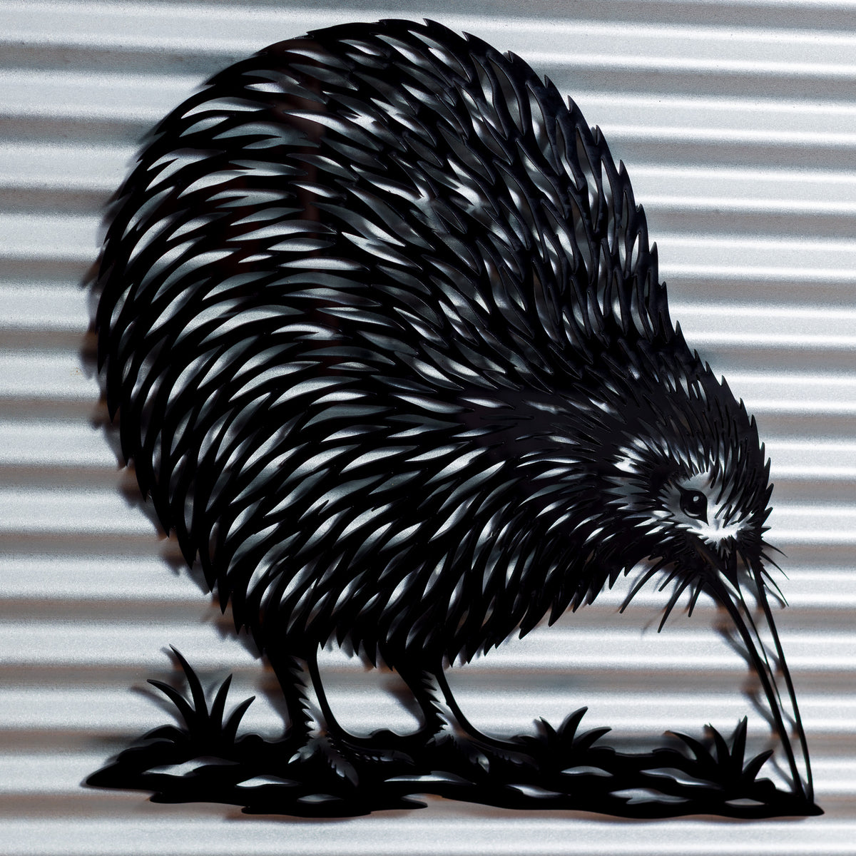 Kiwi Outdoor Wall Art – Corrugated Metal & Black Acrylic – Kwila Frame