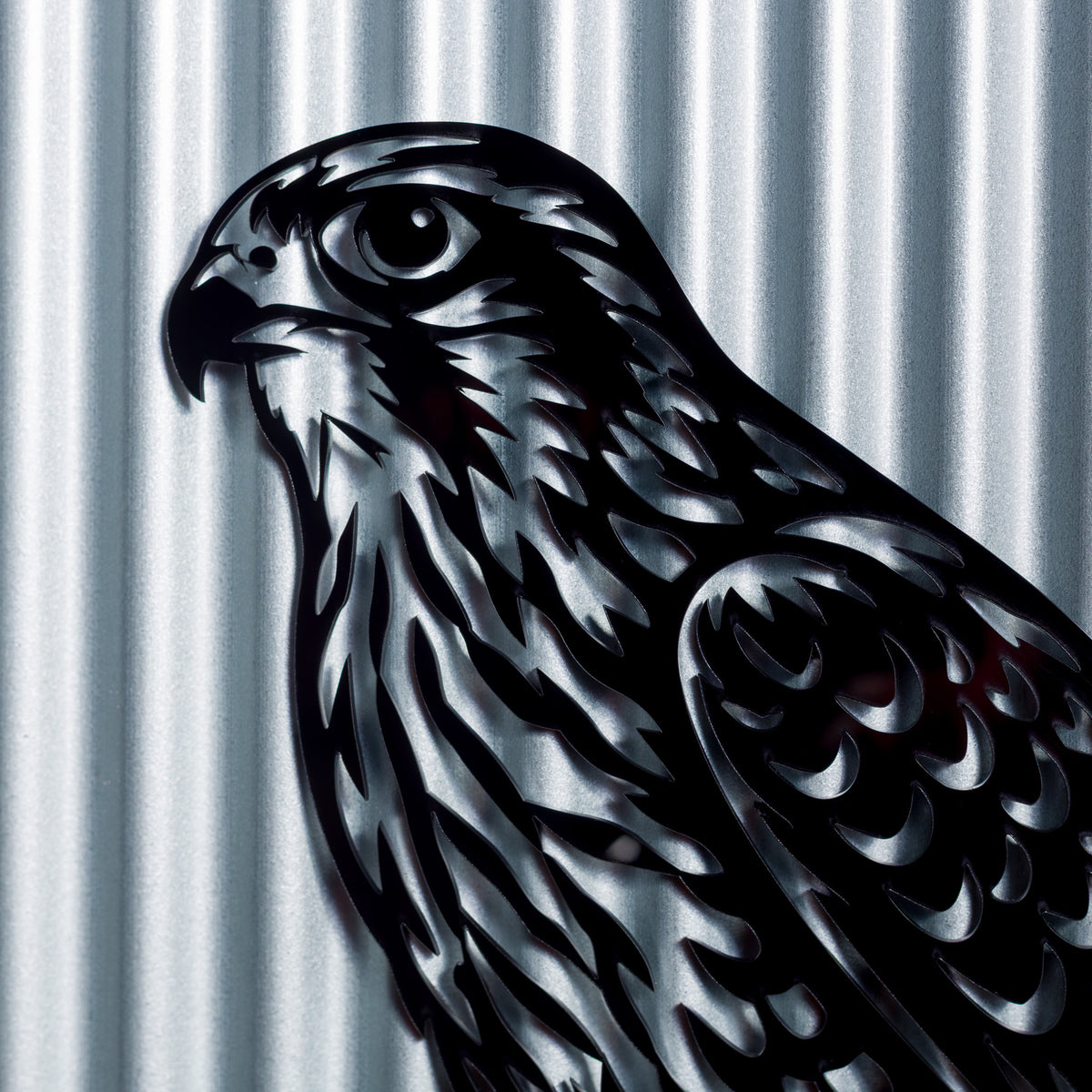 Kārearea New Zealand Falcon Outdoor Wall Art – Corrugated Metal & Black Acrylic – Kwila Frame